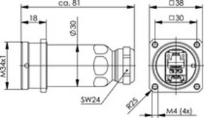 Telegärtner Flanschdose IP68 AMJ-S Modul T568B 100007385