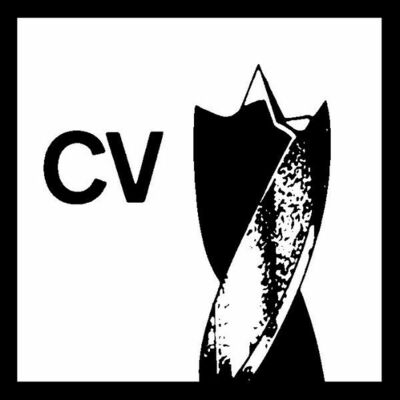 Bosch Power Tools Holzspiralbohrer Standard, 10 x 80 x 120 mm d 2608596307