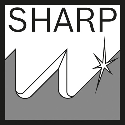 Bosch Power Tools Säbelsägeblatt S 2345 X 2608650463