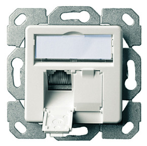 Telegärtner Modul-Aufnahme 2-fach UP/50 2AMJ-S DD aws 100022976