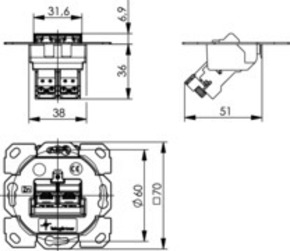 Telegärtner Modul-Aufnahme 2-fach UP/0 2AMJ-S DD flex 100022981