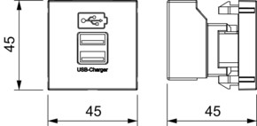 OBO Bettermann Vertr USB Ladegerät m. 2.1A Ladestrom MTG-2UC2.1 RW1