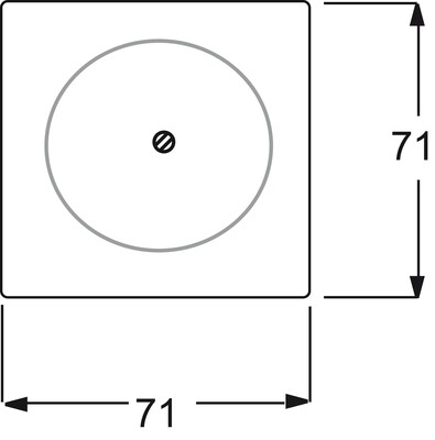 Busch-Jaeger Zentralscheibe champagner Blindabd,m.Tragring 1742-79