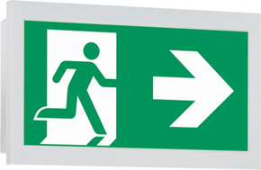 Ceag Notlichtsysteme LED-Einzelbatterie-Leuchte m.autom. Funkt.test 10821 1-8/D CGLine+