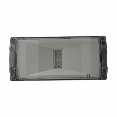 Ceag Notlichtsysteme LED-Einzelbatterie-Leuchte m.autom. Funkt.test AtlanticLEDSCGLine+H