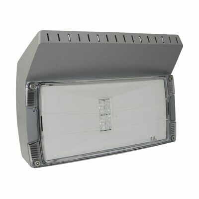 Ceag Notlichtsysteme LED-Einzelbatterie-Leuchte m.autom. Funkt.test OutdoorWall CGLine+H