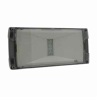Ceag Notlichtsysteme LED-Einzelbatterie-Leuchte m.autom. Funkt.test AtlanticLED SCGLine+