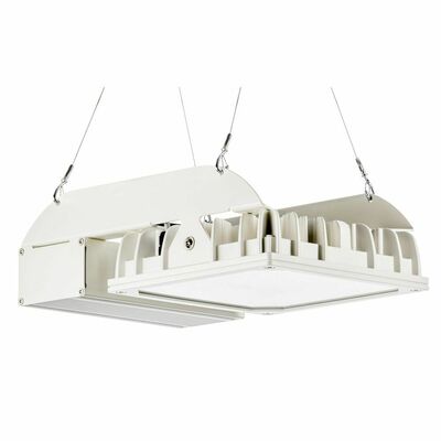 Pracht LED-Hallenstrahler IND DALI 4000K SK I QUADRONIUS #86080221