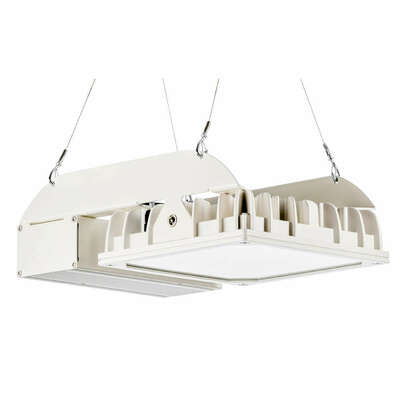Pracht LED-Hallenstrahler IND DALI 4000K SK I QUADRONIUS #86280221