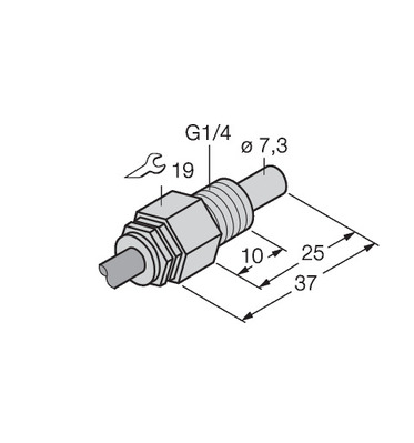 Turck Eintauchsensor FCS-G1/4A4-NAEX