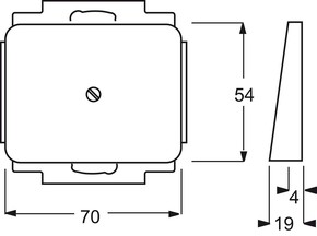 Busch-Jaeger Zentralscheibe pall m.Tragr.f.Ltgsauslaß 1749-260