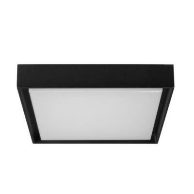 Brumberg Leuchten LED-Wandleuchte 830, schwarz, IP54 60108183