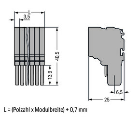 WAGO GmbH & Co. KG 2-Leiter-Federleiste CAGECLAMP,1,5mm²,gr 2020-210