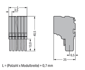 WAGO GmbH & Co. KG 2-Leiter-Federleiste CAGECLAMP,1,5mm²,gr 2020-210