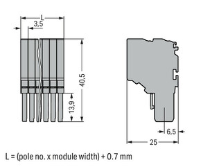 WAGO GmbH & Co. KG 2-Leiter-Federleiste CAGECLAMP,1,5mm²,gr 2020-210