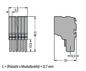 WAGO GmbH & Co. KG 2-Leiter-Federleiste CAGECLAMP,1,5mm²,gr 2020-214
