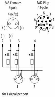 Murrelektronik Passiv-Verteiler 8000-88060-0000000