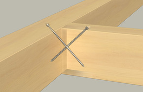 Fischer Deutschl. Holzschraube 10,0x300 BC 25