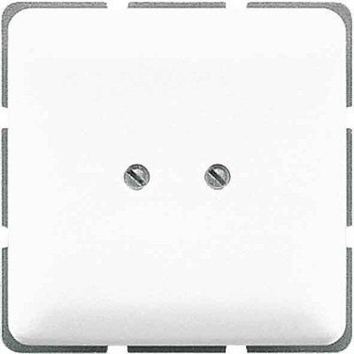 Jung Blind-Abdeckung weiß kompl.mit Tragring 561 B