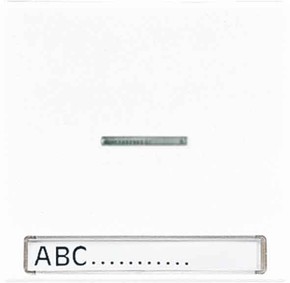 Jung Wippe Licht./Schriftf.ws für Schalter/Taster LS 990 NAKO5 Jung Wippe Licht./Schriftf.ws für Schalter/Taster LS 990 NAKO5