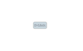 DLink Deutschland N300 Wi-Fi 4 USB Adapter AN3U
