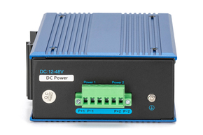 DIGITUS Netzwerk-Switch 8+2-Port DN-651151