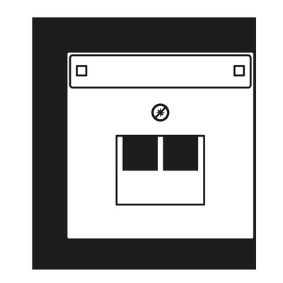 Jung Abdeckung Schriftfeld ant für IAE/UAE-Dose AL 2969-2 NAUA AN