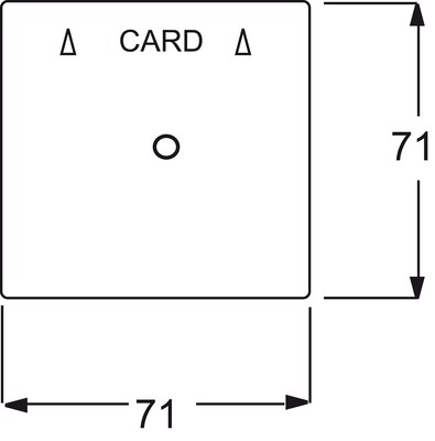 Busch-Jaeger Zentralscheibe alu/si für Cardschalter 1792-783