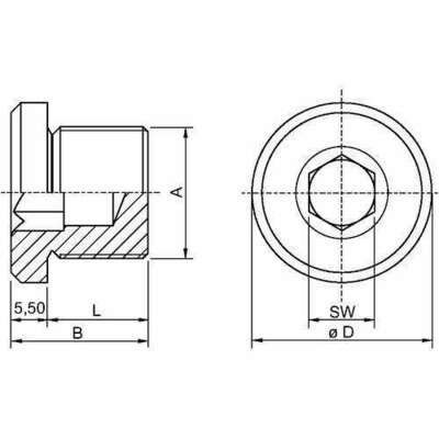Stahl Verschlussstopfen M32 MS vern. 253041