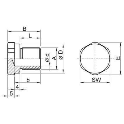 Stahl Verschlussstopfen NPT1/2 Edelstahl 255176