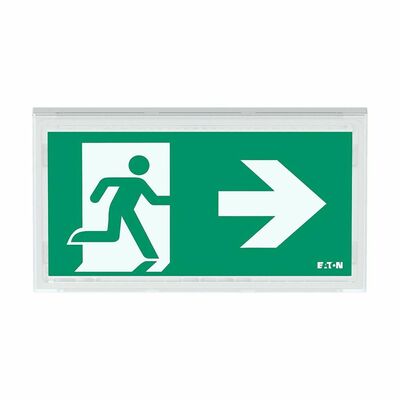 Ceag Notlichtsysteme LED-Rettungszeichenleuchte 1-8h, Piktos, Wand FT2EW4ICGL18IP