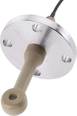Endress+Hauser Leitfähigkeitssensor DN50,Peek, 3m Kabel CLS50D-AA1B21