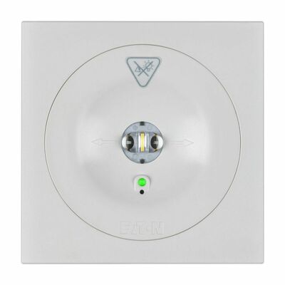 Ceag Notlichtsysteme LED-Einzelbatterie-Leuchte 13811.2 1-8/DCGLine+