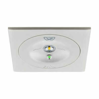 Ceag Notlichtsysteme LED-Einzelbatterie-Leuchte 13821.2 1-8/DCGLine+