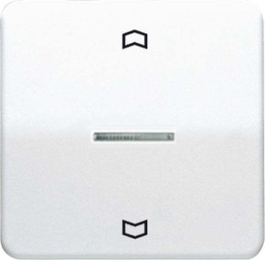 Jung Wippe Symbole/Lichtl.aws für Taster CD 590 KO5P WW