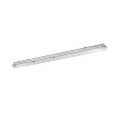 Pracht LED-Feuchtraumleuchte LUNA-N LED #5261150