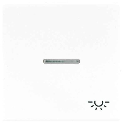 Jung Wippe Sym.LICHT/Lichtl.aw für beleuchtb.Taster LS 990 KO5 L WW
