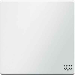 Berker Wippe Licht 16206049