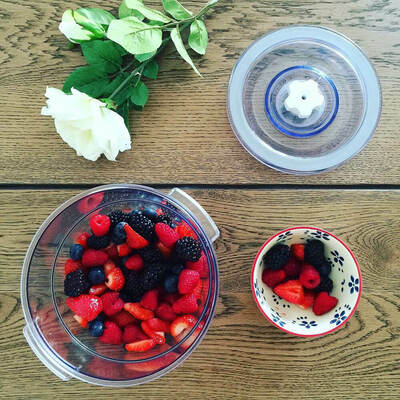 Rommelsbacher Vakuumier Behälter Set rund 2 und 4L VCR 600