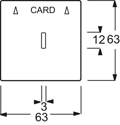 Busch-Jaeger Zentralscheibe stws mt für Cardschalter 1792-884
