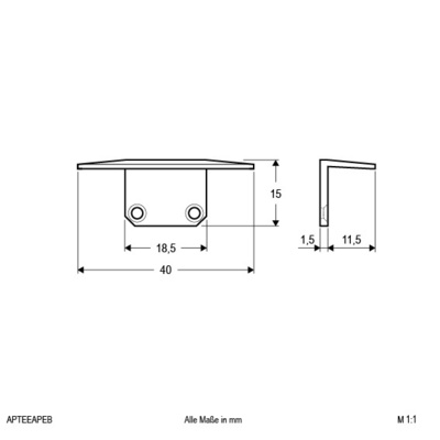EVN Lichttechnik Alu-End-Abschlussplatte T-Form APTE EAP EB