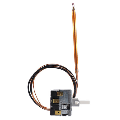 Jumo Thermostat 0..120°C 60003219