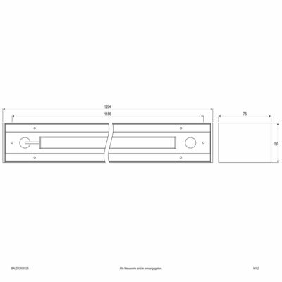 EVN Lichttechnik LED-Anbauleuchte BALD12500125