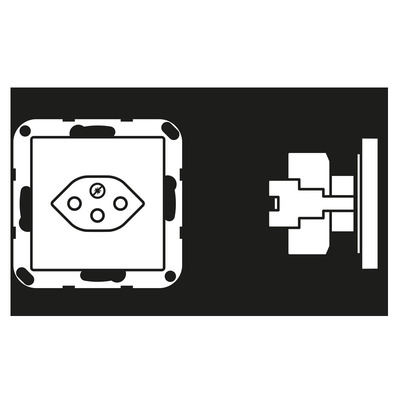 Jung Steckdose alpinws Schweizer Norm A 1520-13 BF SEV WW