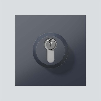 Siedle&Söhne Schloss-Modul anthrazitgrau SM 611-01 AG