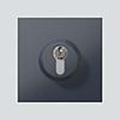 Siedle&Söhne Schloss-Modul anthrazitgrau SM 611-01 AG