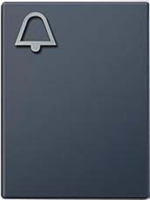 Siedle&Söhne Klingeltaste anth-gr m.Glockensym TM 612-3/BTM650-03AG