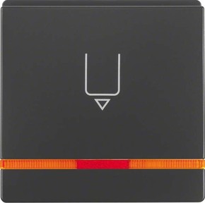 Berker Hotelcard-Schaltaufsatz anth/sa, or Linse 16406086