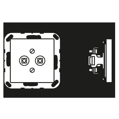 Jung Potenzialausgl.-Steckdose anthrazit matt A 565-2 BF ANM