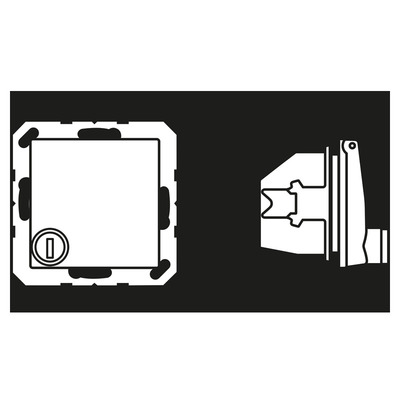 Jung SCHUKO-Steckdose 16A 250V Klappdeckel AS 1520 BFKLSL